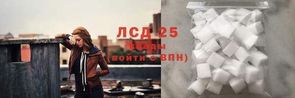 спайс Бородино