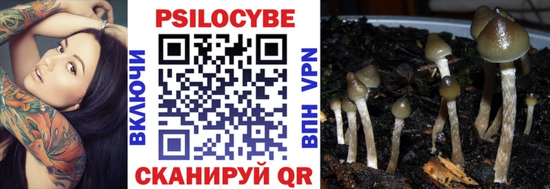 OMG маркетплейс  Гороховец  Галлюциногенные грибы Psilocybe 